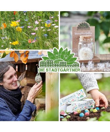 City Gardeners Trostspender: Forget-Me-Not Glass Gift | Handmade Consolation for Friends Teachers & Encouragement | Unique Farewell Gift from Germany - Buy Online on GoSupps.com