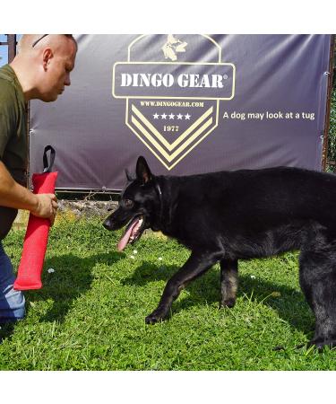 Dingo Gear Cotton Nylon Bite Sausage for Dog Training | IGP IPO Obedience | 45x8 cm | Orange - Durable Dog Sport Equipment - Buy Online on GoSupps.com