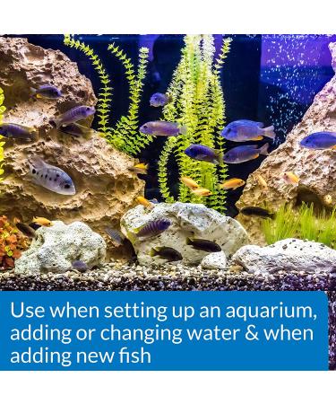 API Quick Start Nitrifying Bacteria â€“ Freshwater & Saltwater Aquarium Starter - Buy Online on GoSupps.com
