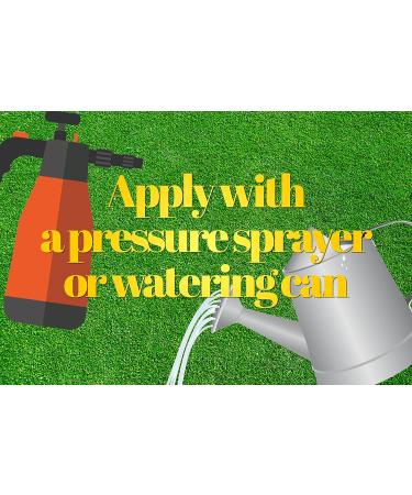 Pro-Kleen Artificial Grass Cleaner 5L - Dog-Friendly Formula with Lavender Scent - Concentrated Solution for 15 Litres - Home Astro Turf Deodorizer - Buy Online on GoSupps.com