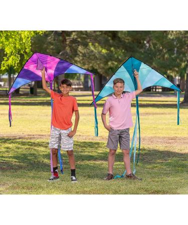 JOYIN Large Delta Kite 2-Pack - Blue and Purple - Easy-to-Fly Kites for Kids and Adults - 262.5 ft String - Outdoor Beach Games - Buy Online on GoSupps.com