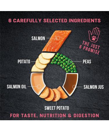 Harringtons Just 6 Salmon & Veg Complete Grain Free Dry Dog Food With Added Tasty Fresh Baked Bites 12kg Salmon 12 kg (Pack of 1) - Buy Online on GoSupps.com