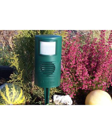 Cat watch Ultrasonic Deterrent - Buy Online on GoSupps.com