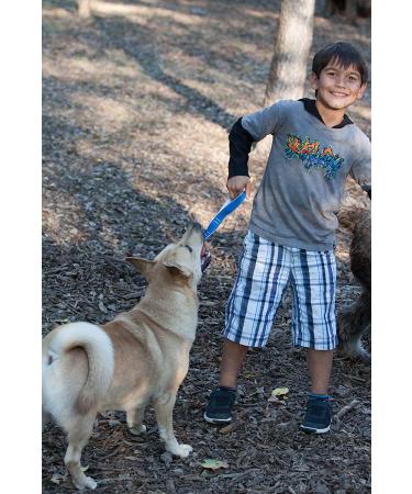 Chuckit! Ultra Tug & Toss Dog Toy for Small, Medium, and Large Dogs - Medium Size - Buy Online on GoSupps.com