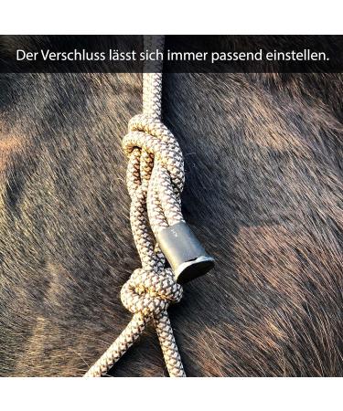 Knothalter for Floor Work Horse - Optimal Knot Helper COB for Free Work & Soil Training (Shetland Braun-Beige) | International Shipping - Buy Online on GoSupps.com