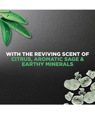 Dove Reviving Minerals & Sage Body Wash for Men 13.5 oz - Buy Online on GoSupps.com