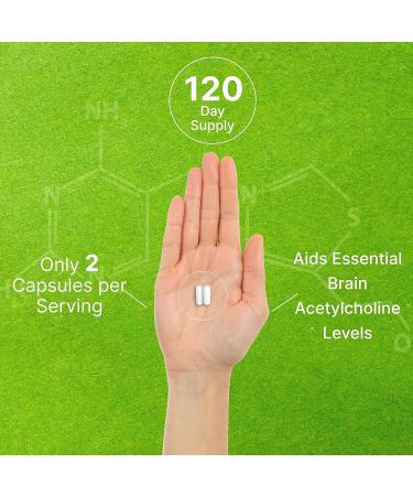 Alpha GPC 600mg Per Serving 240 Capsules Bioavailable Choline Replenishment Nootropic Brain Health Supplements for Memory and Focus Non-GMO Gluten Free - Buy Online on GoSupps.com