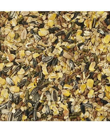 Kaytee Supreme Mouse and Rat Food 4lb - High-Quality Nutrition for Healthy Pets - Buy Online on GoSupps.com