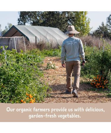 Amy's Chili Light in Sodium Spicy Gluten Free Organic Vegetarian 14.7 Oz (12 Pack) - Buy Online on GoSupps.com