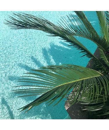 Claudius Bodylotion Natural Spa 3 x 1 liter met gratis pomp - Buy Online on GoSupps.com