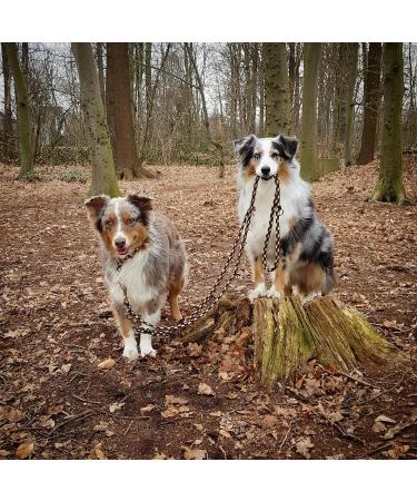 Buy Dogeline Double Leash for Medium Dogs - 39 Colors 3.50m Long Durable & Stable Shipping Worldwide - Buy Online on GoSupps.com
