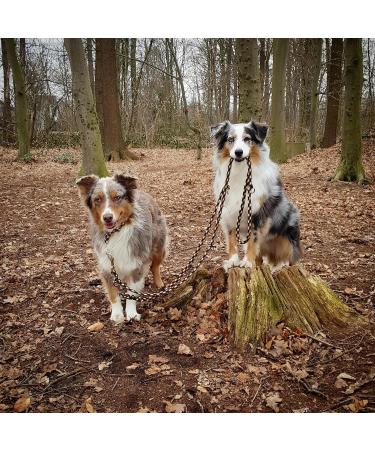 Dogeline Double Leash Practice Line for Medium Dogs - 39 Colors 2.40m (Ocean) - Stable and Durable for Dogs Up to 45kg - Buy Online on GoSupps.com