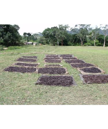 Madagascar Bourbon Vanilla Pods x 10 - Buy Online on GoSupps.com