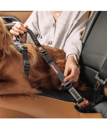 EzyDog Click ZS Dog Harness with Shock Absorber - Black | Safe Car Travel for Dogs | International Shipping Available - Buy Online on GoSupps.com