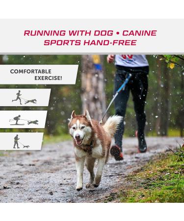 LASALINE Canicross Dog Trekking Belt Black - Buy Online on GoSupps.com