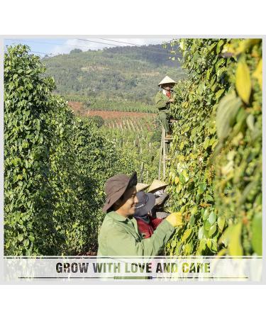 Soeos Whole Black Peppercorns - 16 oz | Premium Quality Spices - Buy Online on GoSupps.com