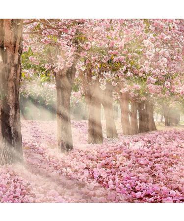 Glade Scented Candle Set - I Love You Fragrance with Essential Oils - 6 Pack (120g Each) | Decorative Foil - Buy Online on GoSupps.com