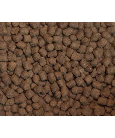 Wysong Ferret Epigen 90 - Digestive Support Dry Food 5lb | Premium Ferret Nutrition - Buy Online on GoSupps.com