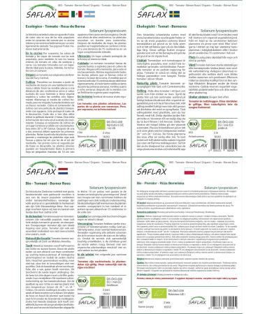 SAFLAX - ORGANIC - Tomato - Rose de Berne - 10 seeds - Solanum lycopersicum - Buy Online on GoSupps.com