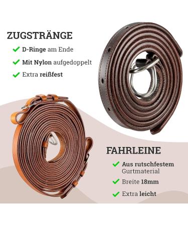 Professional Esposita Carriage Dishes for Shettys Ponies & Horses - Mini Shetty to XL Cold Blood Routing Dishes - Buy Online on GoSupps.com