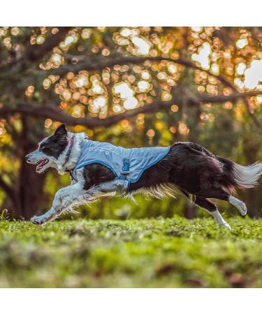 Kurgo Cooling Vest for Dogs - Size S Reflective Ice Blue Cools Neck & Chest in Heat - Buy Online on GoSupps.com