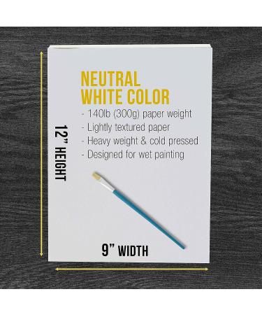 U.S. Art Supply 9x12 Watercolor Paper Pad - Pack of 2, 140lb Heavyweight, Cold Pressed, Acid-Free - Ideal for Artists, Students, Adults - 12 Sheets Each - Wet, Dry & Mixed Media - Buy Online on GoSupps.com