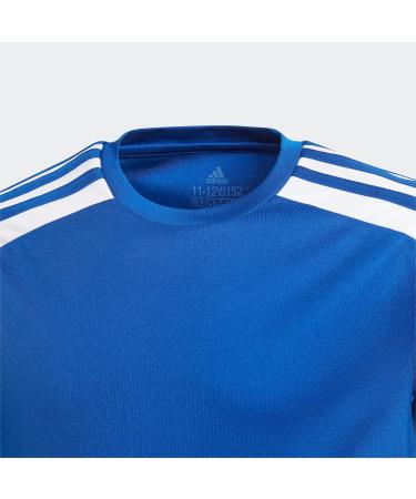 Adidas Boys Squad 21 JSY Y T-Shirt - 128 Royblu/White | International Shipping Available - Buy Online on GoSupps.com