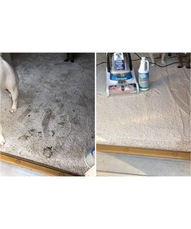 Carpet Miracle Lavender 32 Fl Oz - Deep Stain & Odor Remover for Machine Use - Rug, Upholstery, and Carpet Cleaner - Light Lavender Scent - Pack of 1 - Buy Online on GoSupps.com