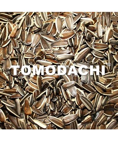 Tomodachi Chicken Food - Sunflower Seed Snacks & Daily Feed | 1kg Bucket | Premium Bird Feed - Buy Online on GoSupps.com
