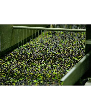 Gaea Pitted Mixed Greek Olives - Green, Black & Brunettes (5.3 oz) - Buy Online on GoSupps.com