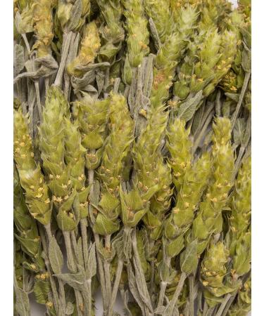  Biojoy Biojoy Organic Greek Mountain Tea (150g) whole stems and flowers (Sideritis scardica) - Buy Online on GoSupps.com