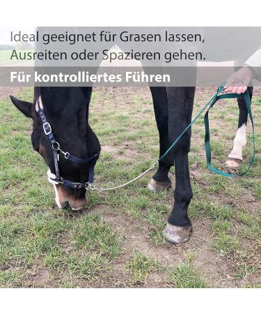 Buy Safe 2.10m Horse Guide - Durable Iron Chain & Nylon Handle for Stallion Pony & Donkey - Dark Green - Buy Online on GoSupps.com