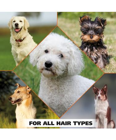 Wahl Pet Refresh Lavender Cleaning Wipes - 50 Wipes for Dogs - Ideal for Ears, Nose, Paws, Bottom, and Sensitive Areas - Buy Online on GoSupps.com
