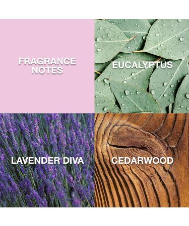 LUCKY Brand Re/Lax The New Sustainably-Inspired & Tranquil Unisex Fine Fragrance Mist For Women & Men 8.0 Fl Oz (Pack of 1) Lucky Re/Lax 8 Fl Oz (Pack of 1) - Buy Online on GoSupps.com
