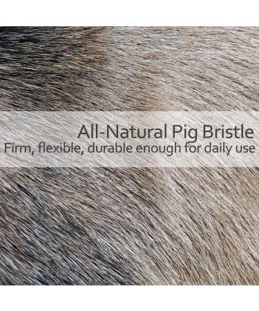 Redecker Natural Pig Bristle Foot Brush - Oiled Beechwood Handle - 5-1/4 Inches - Buy Online on GoSupps.com