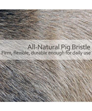 Redecker Natural Pig Bristle Massage Brush - Oiled Beechwood Knob - 3-7/8-Inches - Buy Online on GoSupps.com