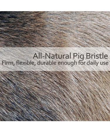 Redecker Natural Pig Bristle Round Face Brush - 2-Inch Oiled Beechwood Handle - Buy Online on GoSupps.com