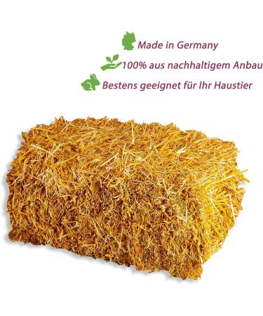 15 kg Quality Wheat Straw Bales for Rabbits & Guinea Pigs - Fresh Unsprayed Farm-Direct | Ideal for Food & Decoration - Buy Online on GoSupps.com