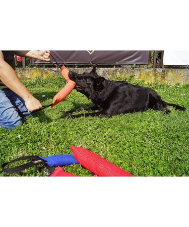Dingo Gear Cotton Nylon Bite Sausage for Dog Training | IGP & IPO Obedience | Protection Sport | 45x8 cm with 2 Handles - Orange S00085 - Buy Online on GoSupps.com
