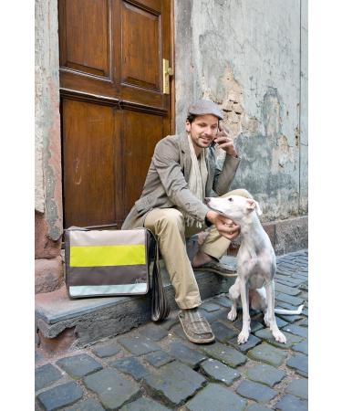 Lassig Casual Messenger Diaper/Changing Bag - Stripes Olive Sculphur - Buy Online on GoSupps.com