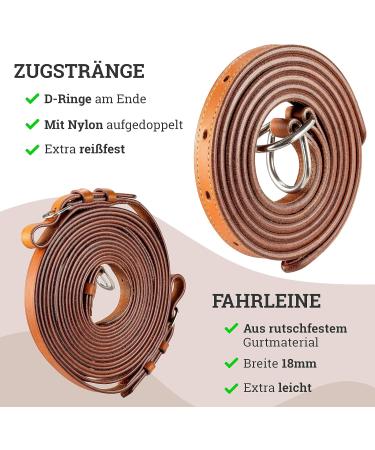 Esposita Professional Carriage Dishes for Mini Shetland to XL Cold-Blood Horses - Optimal for Ponies & Shetties - International Shipping Available - Buy Online on GoSupps.com