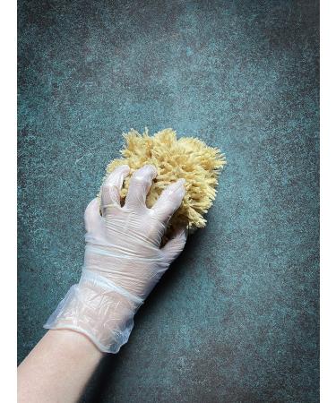 Premium Sea Wool Art Sponge: Professional Grade for Painting, Decorating, Texturing, and More - Buy Online on GoSupps.com