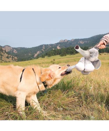 KONG Stretchezz Legz Bear Dog Toy Large Multicolour - Buy Online on GoSupps.com