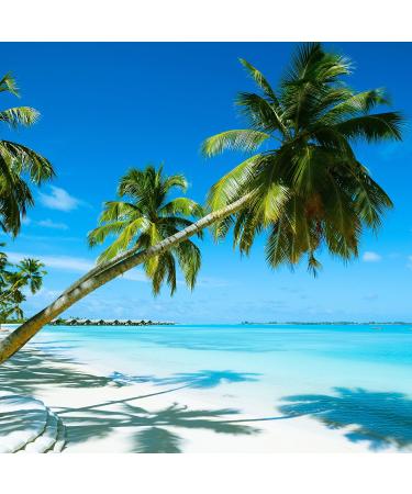 Buy WoWlens Dubai Blue Colored Contact Lenses - Natural Ice Blue 1 Pair with Container Dia 14.00 | International Shipping Available - Buy Online on GoSupps.com