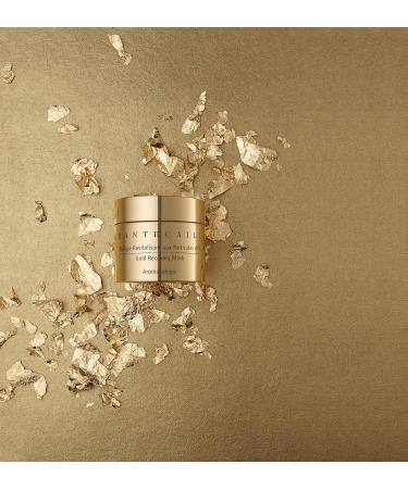 Chantecaille Gold Recovery Mask 1.7 oz | Luxury Skincare for Global Shipping - Buy Online on GoSupps.com