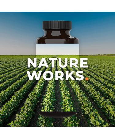 LifeSeasons Pros-T Glandular Support - 60 Softgels for Optimal Hormonal Balance - Buy Online on GoSupps.com