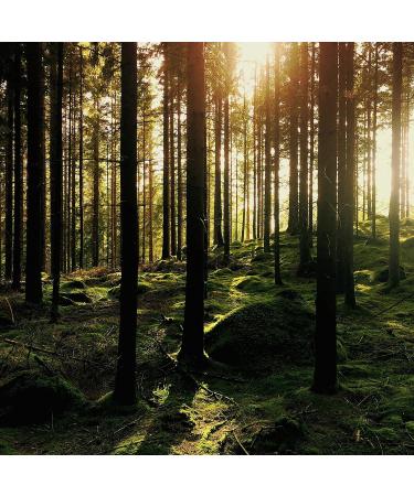 Tepe Good Mini Extra Soft Toothbrush for Children - Eco-Friendly User-Friendly Pack of 2 - Buy Online on GoSupps.com