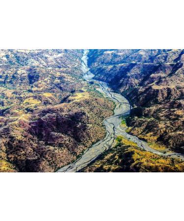  Kaffee Globetrotter Coffee Globetrotter - Real rarity (medium ground 500 g) Ethiopia Limu Grade 2 - Rare premium coffee - Become an explorer! - Buy Online on GoSupps.com