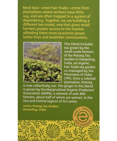 Buy Equal Exchange Organic Green Tea with Ginger - 20 Tea Bags (1.05 oz) | Premium Quality & Flavor - Buy Online on GoSupps.com