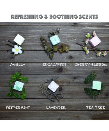 Fathers Day Aromatherapy Shower Steamers Variety Pack - Set of 12 Natural Scented Shower Bombs - Relaxing Gift for Women & Men - Eucalyptus & More Essential Oil Bath Bomb - Birthday Gift Idea - Buy Online on GoSupps.com